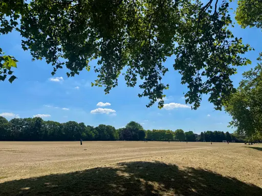 Cricket and Softball Pitch