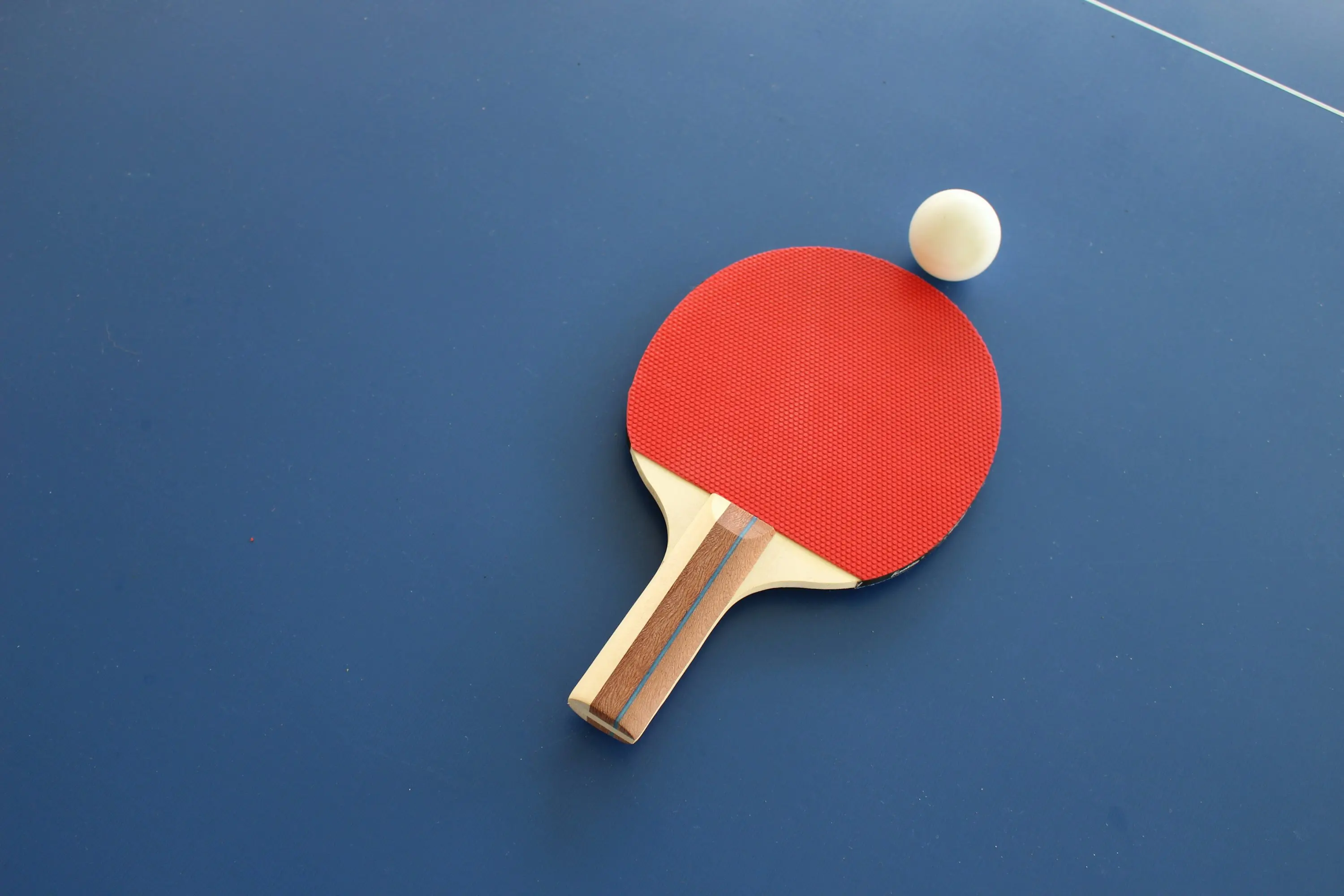 Ping Pong Table