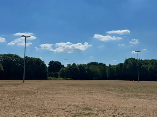 Softball pitch