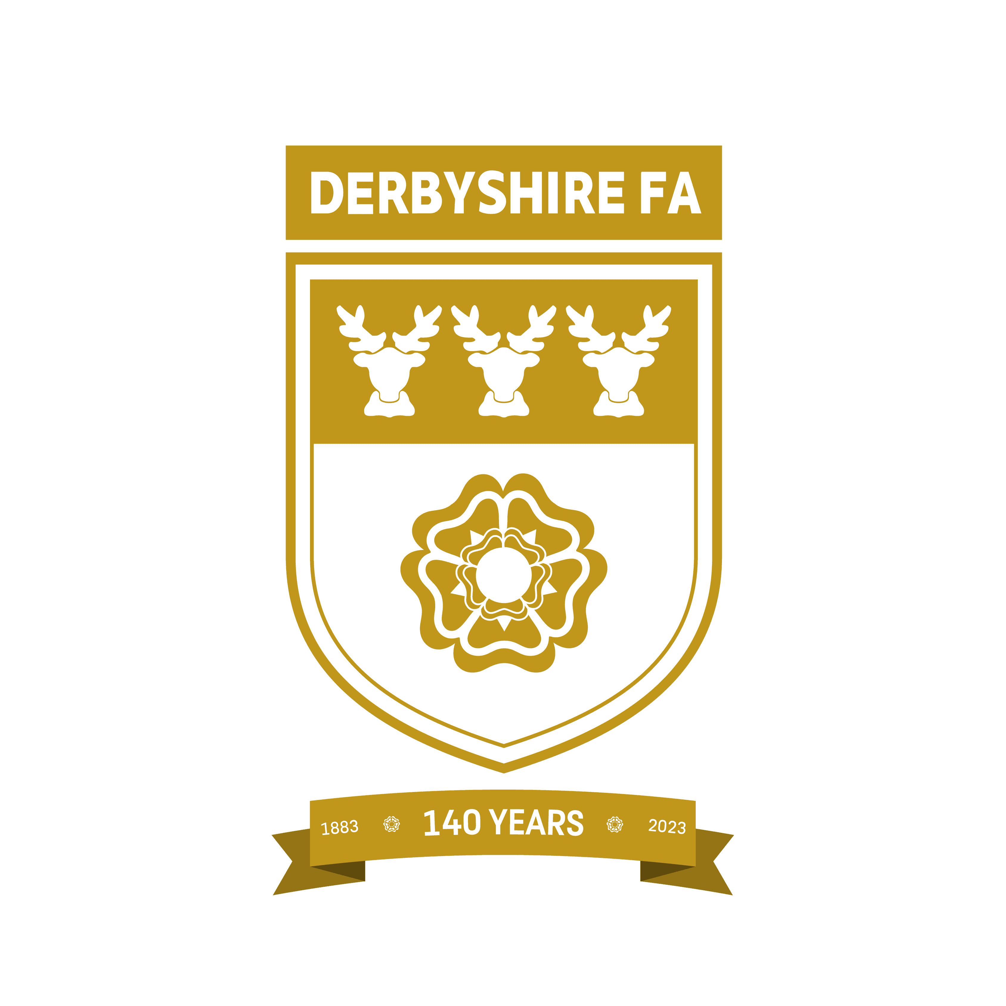Derbyshire County FA | Pitchbooking