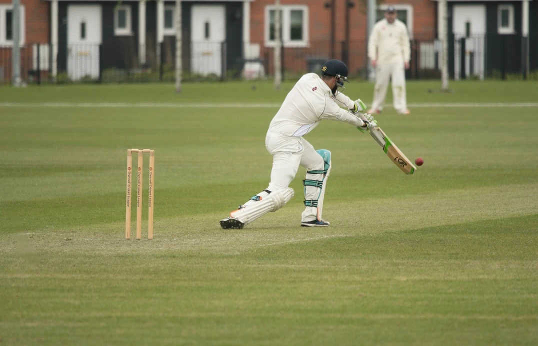 Billy Neill - Cricket Pitch